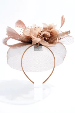 Brown Mesh Feather Fascinator