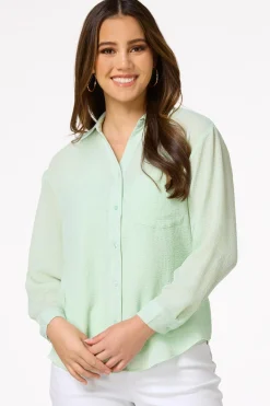 Petite Solid Sheer Button Down Top