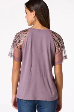 Sequin Mesh Sleeve Top