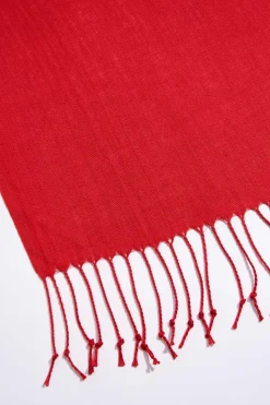 Solid Fringe Pashmina Scarf